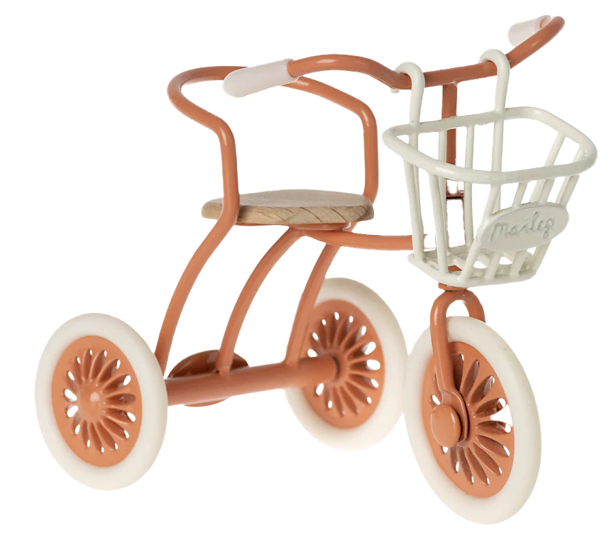 Tricycle Basket